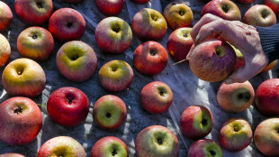 Confagricoltura Piemonte, comparto frutta a rischio con la guerra