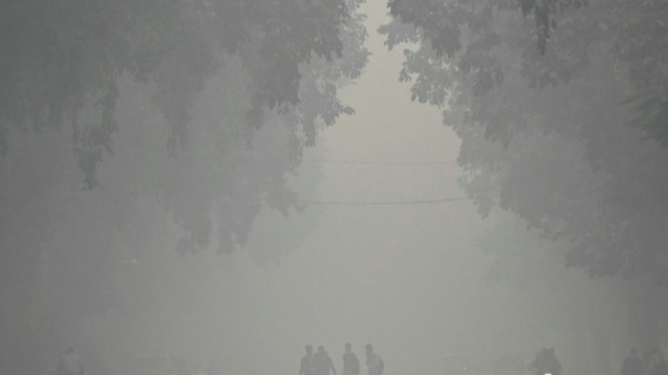 Inde: pollution atmosph&eacute;rique 60 fois sup&eacute;rieure aux normes OMS &agrave; New Delhi