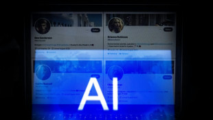 Grüne fordern "unverzügliche" Bestandsaufnahme zur digitalen Souveränität