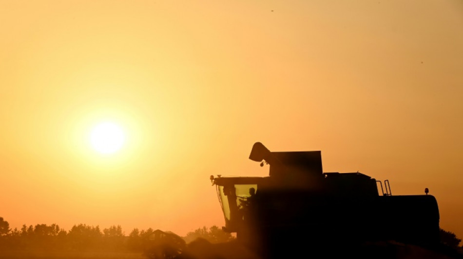 Agriculture: le Parlement adopte la loi Duplomb et la r&eacute;introduction sous conditions d'un pesticide