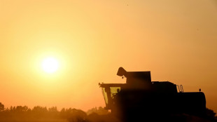 Agriculture: le Parlement adopte la loi Duplomb et la r&eacute;introduction sous conditions d'un pesticide