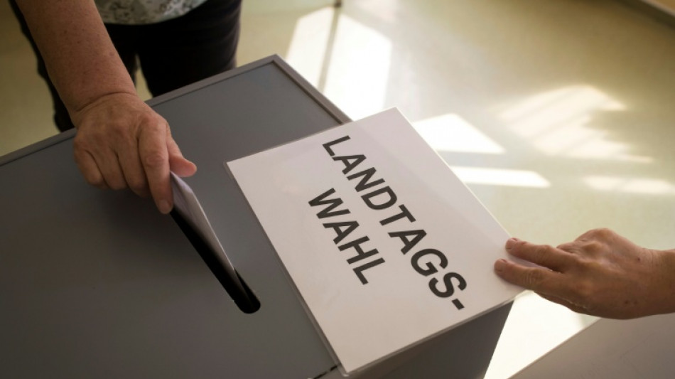 Gr&uuml;ne warnen vor ausl&auml;ndischer Einflussnahme auf Wahlen in Deutschland