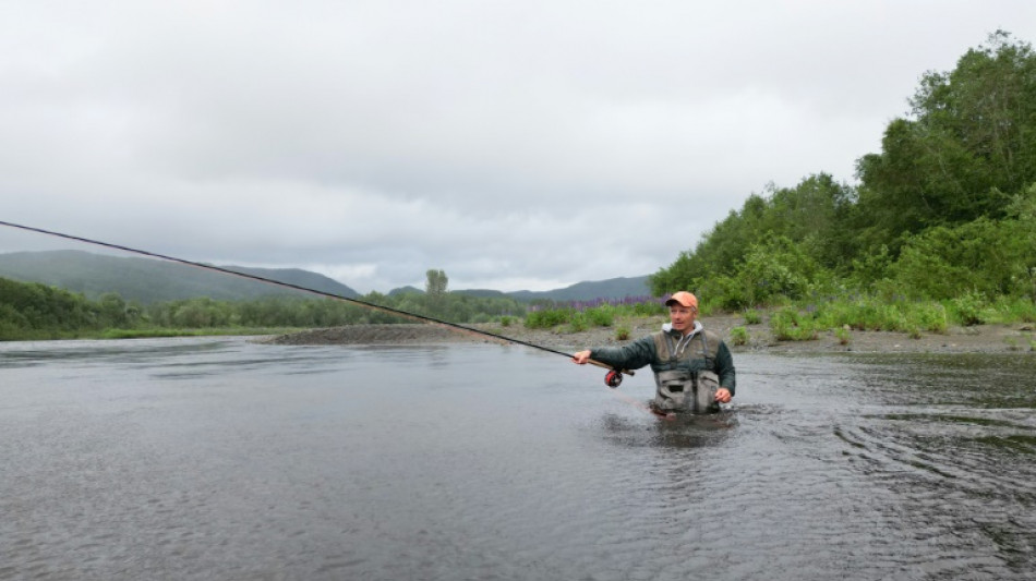 En Norvège, la lente agonie du saumon sauvage face à l'aquaculture