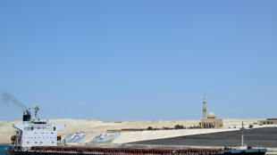 Studie: Seeweg &uuml;ber das Rote Meer besonders wichtig f&uuml;r Deutschland