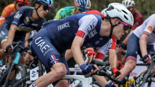 Mondiaux de cyclisme: "pas de miracle" pour les Français malgré un Seixas "épatant"