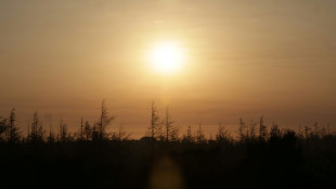 UN climate panel fails to agree date for global warming update: envoy