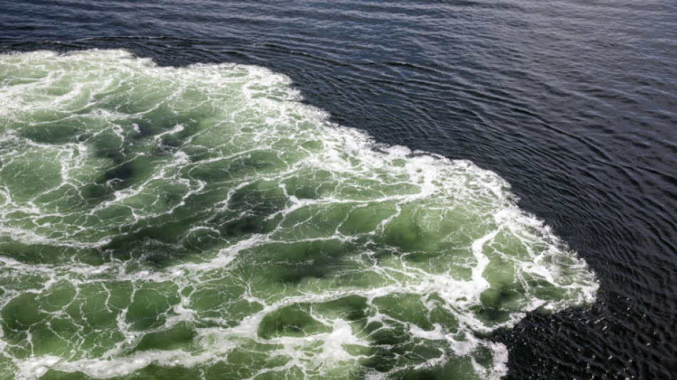 Greenpeace: Russische Ölexporte mit veralteten Tankern gefährden Ostseeküste