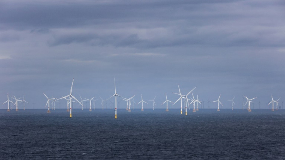 Ostsee-Anrainer kündigen massiven Ausbau von Offshore-Windenergie an