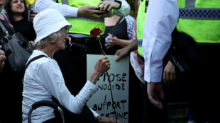 Cinco personas detenidas en Reino Unido antes de una acci&oacute;n de apoyo a Palestine Action