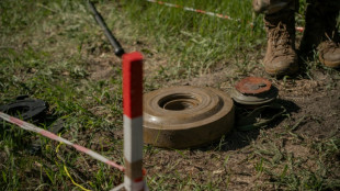 D&eacute;miner l'Ukraine, du r&acirc;teau au drone  