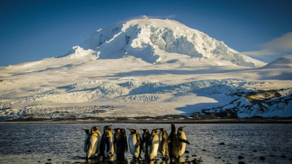 Australia ampl&iacute;a su parque marino en el Ant&aacute;rtico