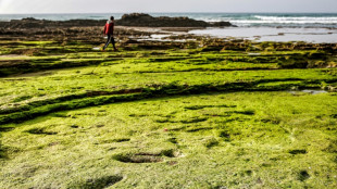 D&eacute;couverte au Maroc d'empreintes humaines datant de plus de 100.000 ans