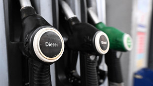 Giorgetti, sconto solo sul gasolio per 17 centesimi al litro