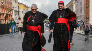 What's a cardinal? The 'princes' of the Church electing a new pope