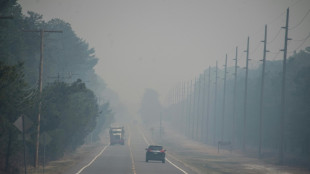 Jovem &eacute; preso acusado de causar inc&ecirc;ndio florestal em Nova Jersey