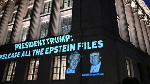 Dans un contexte explosif, le gouvernement am&eacute;ricain va interroger la complice d'Epstein