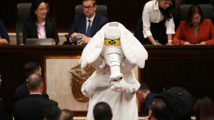 "Elefante blanco" al Congreso: El influencer anticorrupci&oacute;n convertido en senador de Colombia