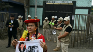 Expertos de la ONU consideran "arbitraria" la detenci&oacute;n de Pedro Castillo en Per&uacute;