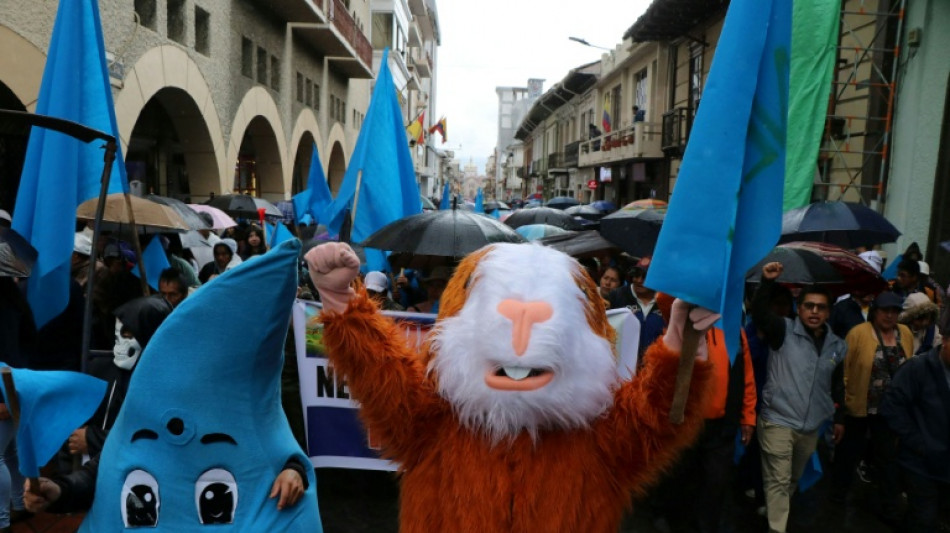 Ecuador anula la licencia ambiental a la minera canadiense Dundee Precious