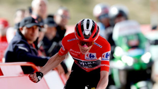 Vingegaard touching Vuelta glory with stage 20 triumph as protests persist