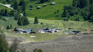 Swiss glacier collapse offers global warning of wider impact