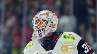 Pleitenserie vorbei: Tiffels erl&ouml;st die Eisb&auml;ren