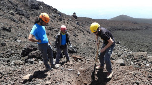 Ingv, valanga piroclastica con collasso cratere Sud-Est Etna
