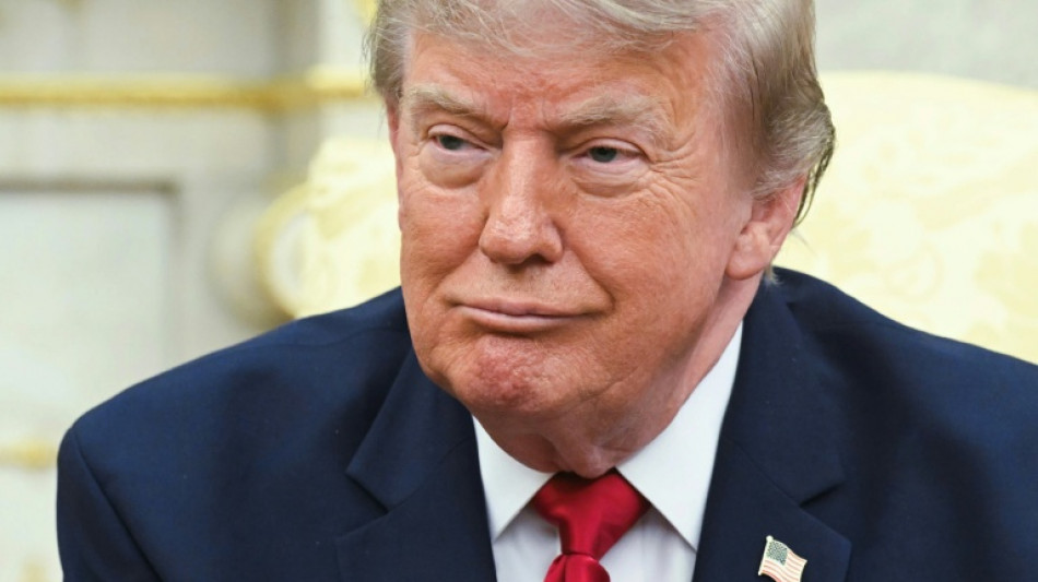 Trump dice que la polic&iacute;a migratoria debe continuar con los controles en carretera