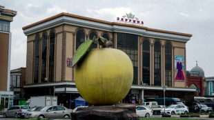 Tajikistan's apricot farmers grapple with climate change