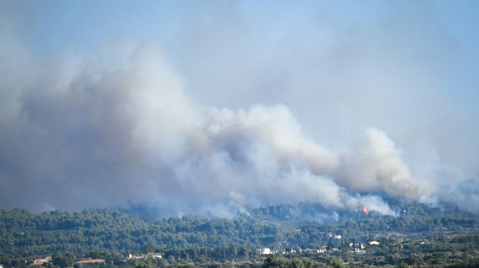 Feux de for&ecirc;t: &agrave; la mi-saison estivale, d&eacute;j&agrave; 15.000 hectares br&ucirc;l&eacute;s en France