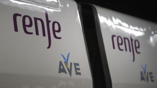 Descontrolados: jóvenes de despedida de soltero en un tren deberán indemnizar al resto de pasajeros
