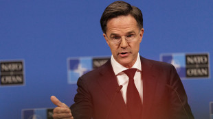 Rutte, '30 Paesi nella coalizione per Hormuz, capire quando e cosa fare'