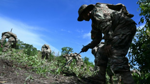Militares erradican coca ilegal en Bolivia mientras el gobierno coordina el retorno de la DEA