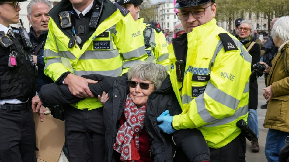 Mehr als 200 Festnahmen bei pro-pal&auml;stinensischer Demonstration in London