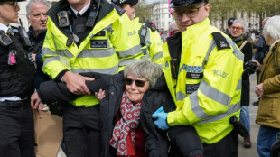 Mehr als 200 Festnahmen bei pro-pal&auml;stinensischer Demonstration in London