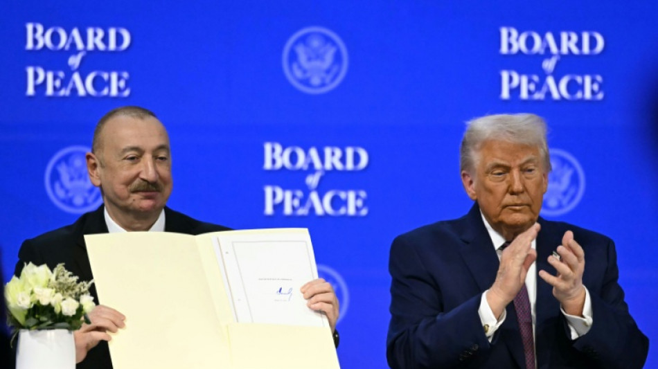 Trump s'autoproclame "faiseur de paix" mais son Conseil interroge