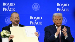 Trump s'autoproclame "faiseur de paix" mais son Conseil interroge