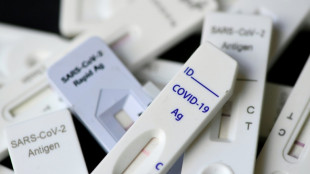 Bundesausschuss entscheidet &uuml;ber R&uuml;ckkehr zu telefonischer Krankschreibung