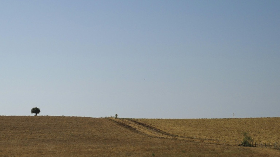 Sequ&iacute;a r&eacute;cord a mediados de julio en Europa y en el Mediterr&aacute;neo