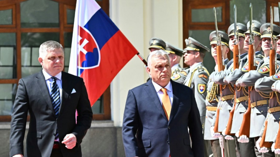 Orban und Fico sprechen sich gegen Abschaffung von EU-Vetoregelung aus