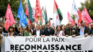 French politicians bicker over Palestinian flags outside town halls