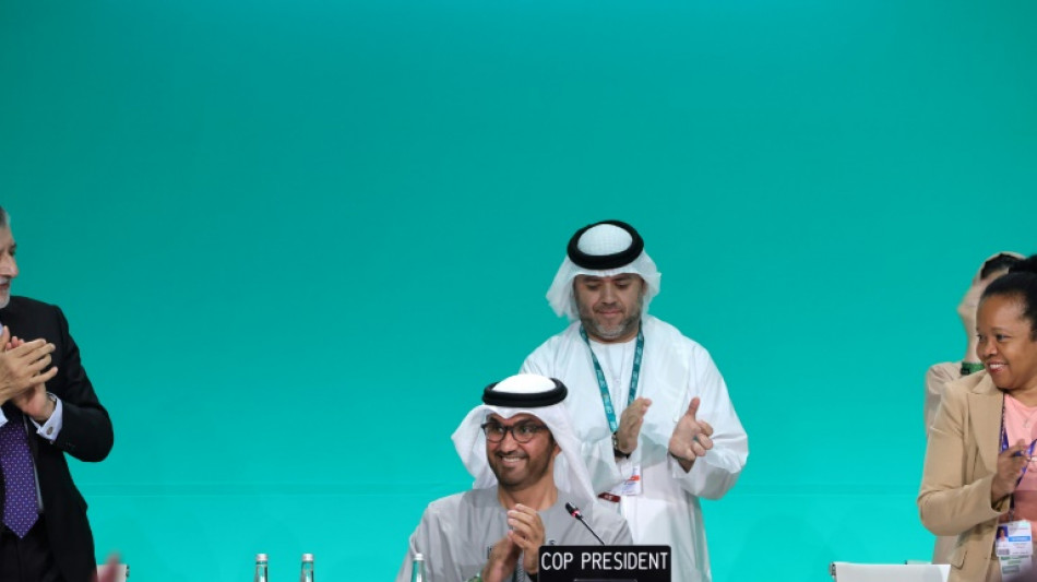 La COP28 pide al mundo que haga una "transici&oacute;n" para abandonar los combustibles f&oacute;siles