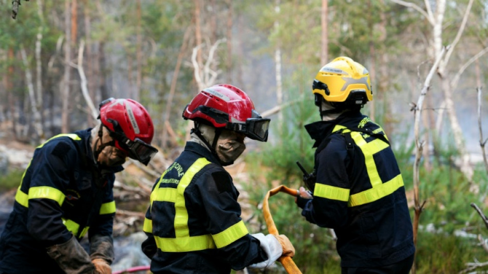 Logran contener dos incendios en el bosque de Fontainebleau, cerca de Par&iacute;s