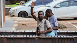 Zimbabwe: un journaliste lib&eacute;r&eacute; sous caution apr&egrave;s deux mois de d&eacute;tention