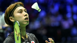 Badminton federation smoothes feathers ruffled by shuttlecock shortage