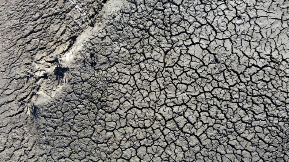 Uruguai prorroga at&eacute; fim do ano emerg&ecirc;ncia agropecu&aacute;ria devido &agrave; seca