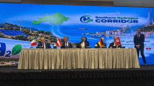 Pichetto, corridoio idrogeno Africa-Italia &egrave; di particolare rilevanza
