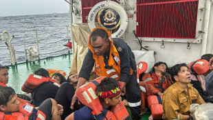 Container ship sinks off India's south coast with hazardous cargo