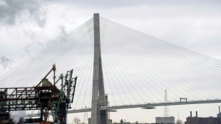 El nuevo puente entre Canad&aacute; y EEUU ser&aacute; inaugurado a finales de julio