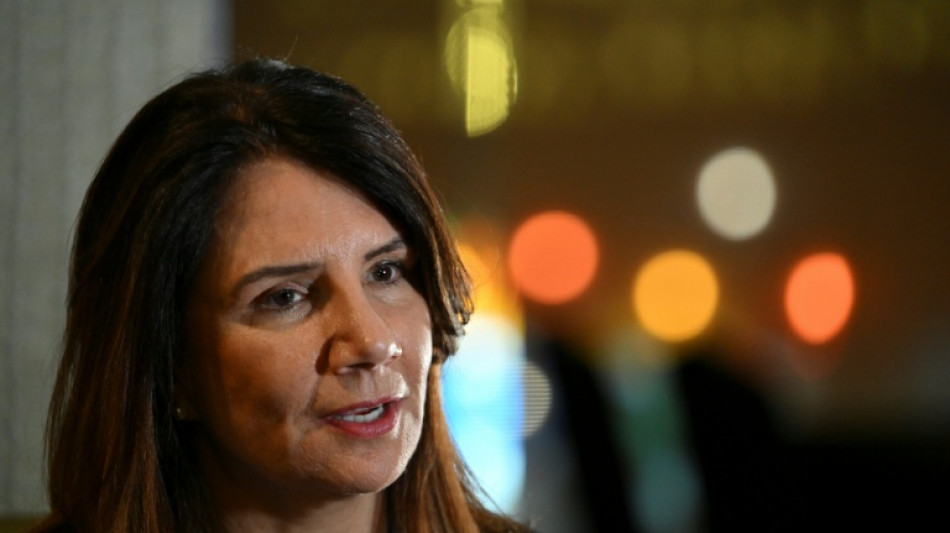 Tariff wars will hamper climate efforts: COP30 CEO